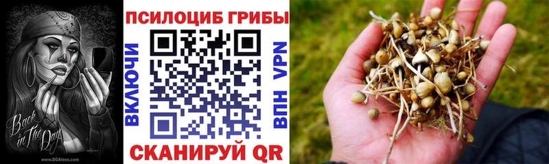 Псилоцибиновые грибы Cubensis  Купить где  Певек 